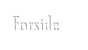 Forside