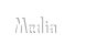 Media